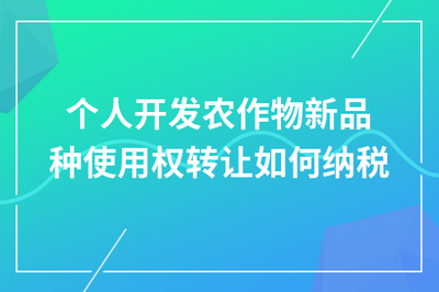 個人開發(fā)農(nóng)作物新品種使用權(quán)轉(zhuǎn)讓的稅務處理指南